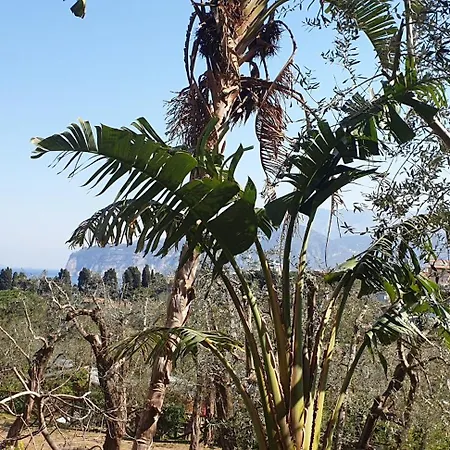 Casa Athena