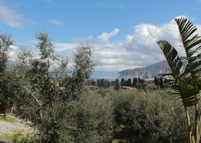 Casa Athena Bed & Breakfast 3*